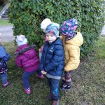phoca_thumb_m_zmeck krteci 10 Fotogalerie